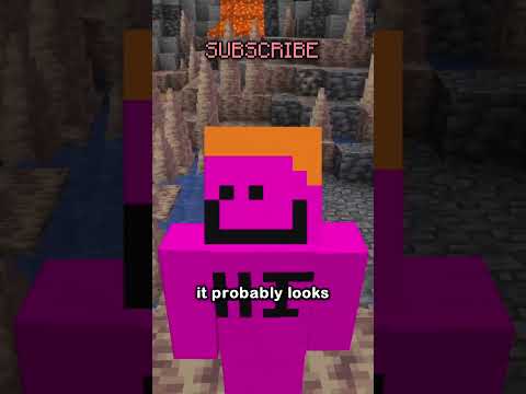 Shocking Minecraft skin secret revealed!