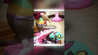 Esse vovô virou o melhor amigo dessa marmotinha ❤️