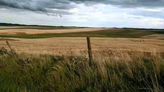 July Skies - Coastal Stations