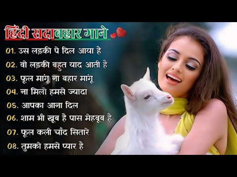 90’S Old Hindi Songs💘 90s Love Song💘 Udit Narayan, Alka Yagnik, Kumar Sanu, Sonu Nigam