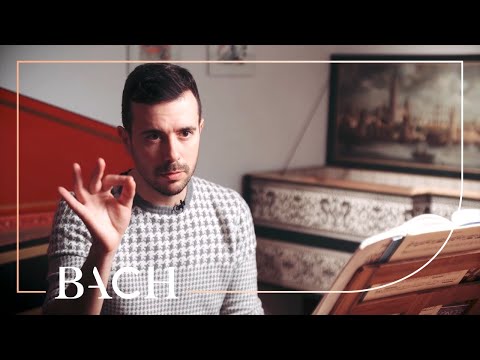 Corti on Harpsichord Concerto in A major BWV 1055 | Netherlands Bach Society