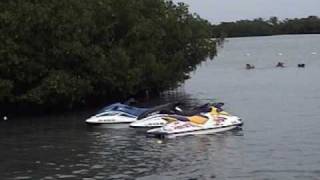 preview picture of video 'Playa Polita en Salinas Puerto Rico.wmv'