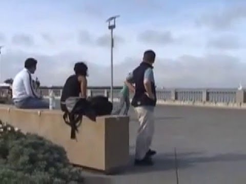 Freeline Skates -- MakMak