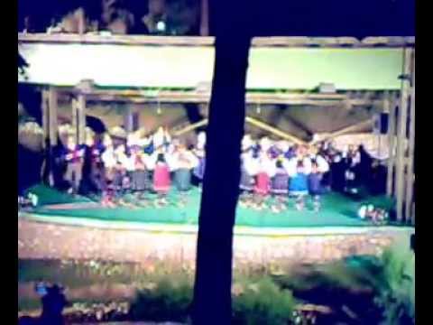 Nacionalni Ansambl kolo  2010 u Jagodini