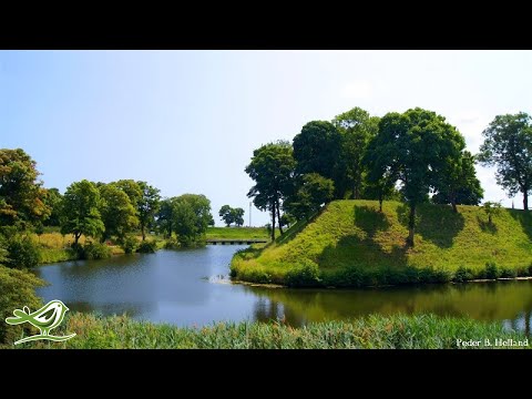 download lagu mp3 mp4 Happy Violin Music Mp3 Free Download, download mp3 Happy Violin Music Mp3 Free Download free download, download mp3 Happy Violin Music Mp3 Free Download