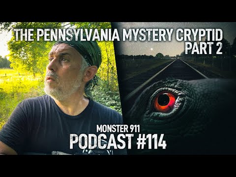 The Pennsylvania Mystery Cryptid Part 2 - Man Saw a Horrifying Alien Canine on the Railroad Track