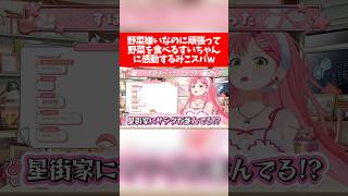 野菜嫌いなのに頑張って野菜を食べるすいちゃんに感動するみこスバw【ホロライブ切り抜き/さくらみこ/星街すいせい/大空スバル】