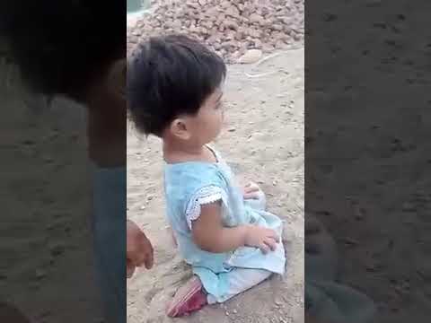 maryam with dogs#shorts #shortsviral #dogs #animals