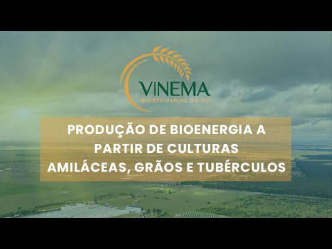 Vinema Biorefinarias: Projeto de Bioenergia no RS Solicita Apoio dos Governos Federal e Estadual