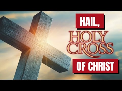 Hail, Holy Cross of Christ | Passion Anthem
