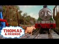 A Cow On The Line Thomas Friends Full Episode Season 2