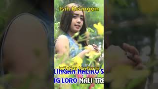 Download lagu Widya Nafara - Isih Kelingan #Shorts mp3