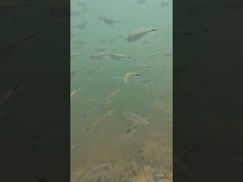Rio Paraúna, divisa entre Gouveia e Presidente Juscelino, MG