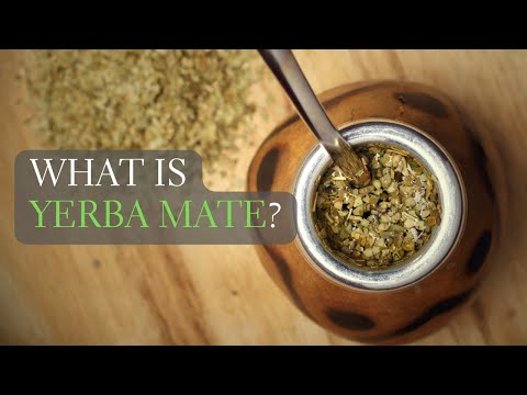 What is Yerba Mate? Yerba Mate Facts and More!