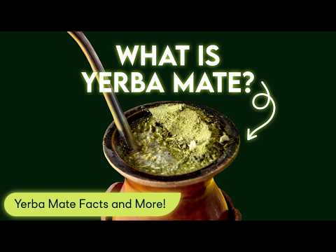 What is Yerba Mate? Yerba Mate Facts and More!