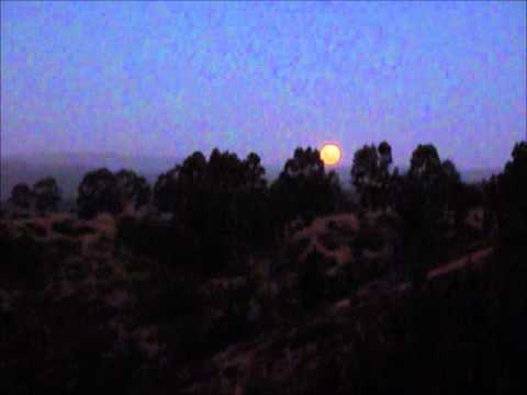 GLENN MILLER --   "Serenata a la luz de la luna."o ", Moonlight Serenade."