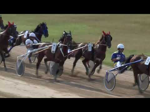 18.07.21. 08. futam - CERES DÍJ