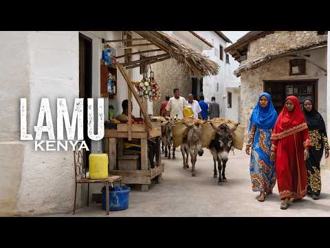 An island with no cars, only donkeys andboats. LAMU - KENYA