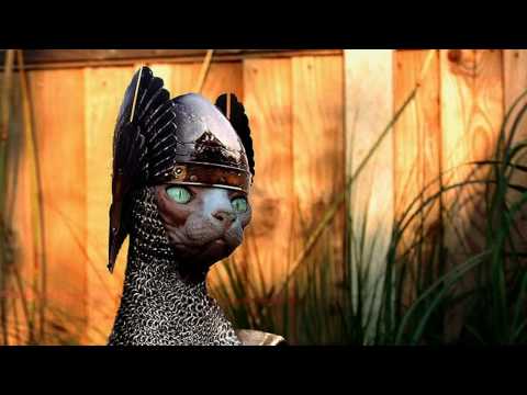 Kuffdam & Plant - Summer Dream (Original Mix) HQ