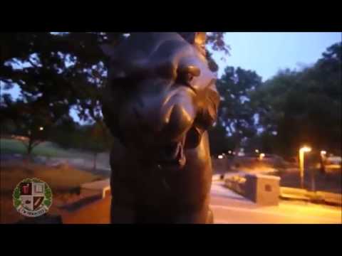 I'm Shmacked The Movie   Clemson University Florida State Week