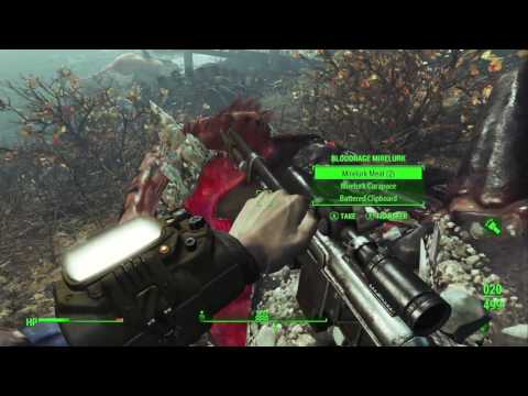 Fallout 4 DLC: Far Harbor playthrough pt34 - Berry Bog Puzzle/Kasumi's Decision (final)