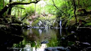 8 Hours Gentlewhispering-Relaxing Book Reading-Storytelling-Audiobook-Get to Sleep