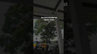 Download lagu STORY WA TERBARU AYU JANE,SAYANG E ORA NGELEM SHOLAT😂🤙 mp3