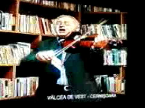 Postelnicu Gheorghe comuna Cernisoara