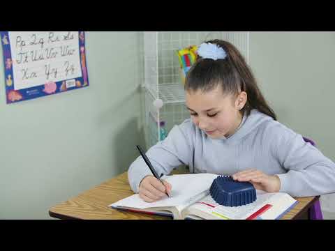 Slide 4 - Bouncyband SensiPOD (video)