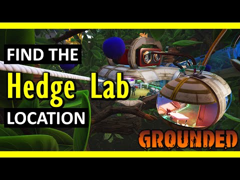 Hedge Lab Location | Grounded (2025)