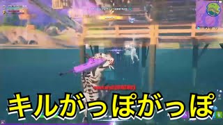 ［Fortnite］完全キャリー！！10キル以上してビクロイ！！