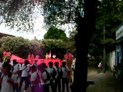 Desfile intercolegiados Neiva 2012