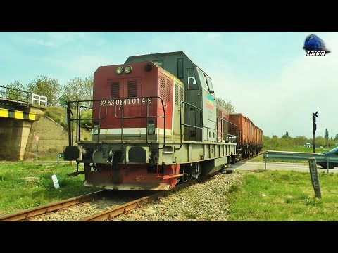LDH1360 841 014-9 & Tren Local CFR MARFĂ Local Freight Train - 22 April 2019