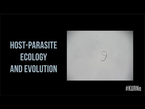 KURNe #12, Host-Parasite Ecology and Evolution