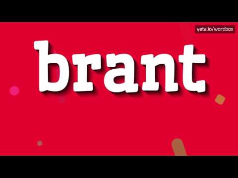 BRANT - HOW TO SAY BRANT?