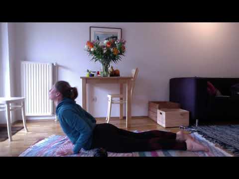 YogaZuHause - Vierfüßler Übungssequenz