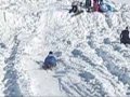Sleigh Riding Accidents 2010