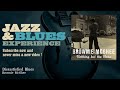 Brownie McGhee - Dissastisfied Blues - Jazz and Blues Experience Brownie McGhee - Dissastisfied Blues