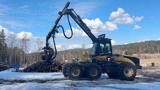 Abatteuse Eco Log 560C | Image 4 - Agroline