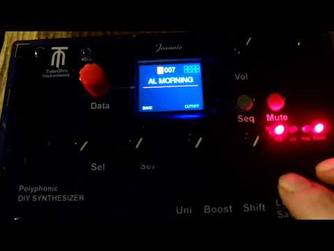 JEANNIE AWAKES!! TUBEOHM 8POLY DIY SINTHESIZER.