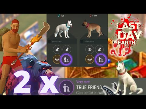 Step By Step How to get True Friend x 2 | Last Day On Earth Survival