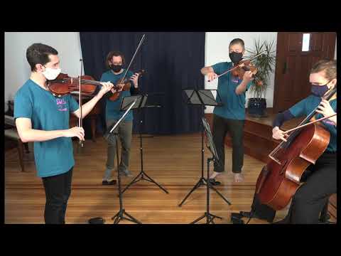 Mark Orton  "Microsuite"