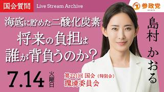 【国会アーカイブ】「海底に貯めた二酸化炭素将来の負担は誰が背負うのか？」衆議院議員 島村かおる 国会質疑 令和8年7月14日 参政党