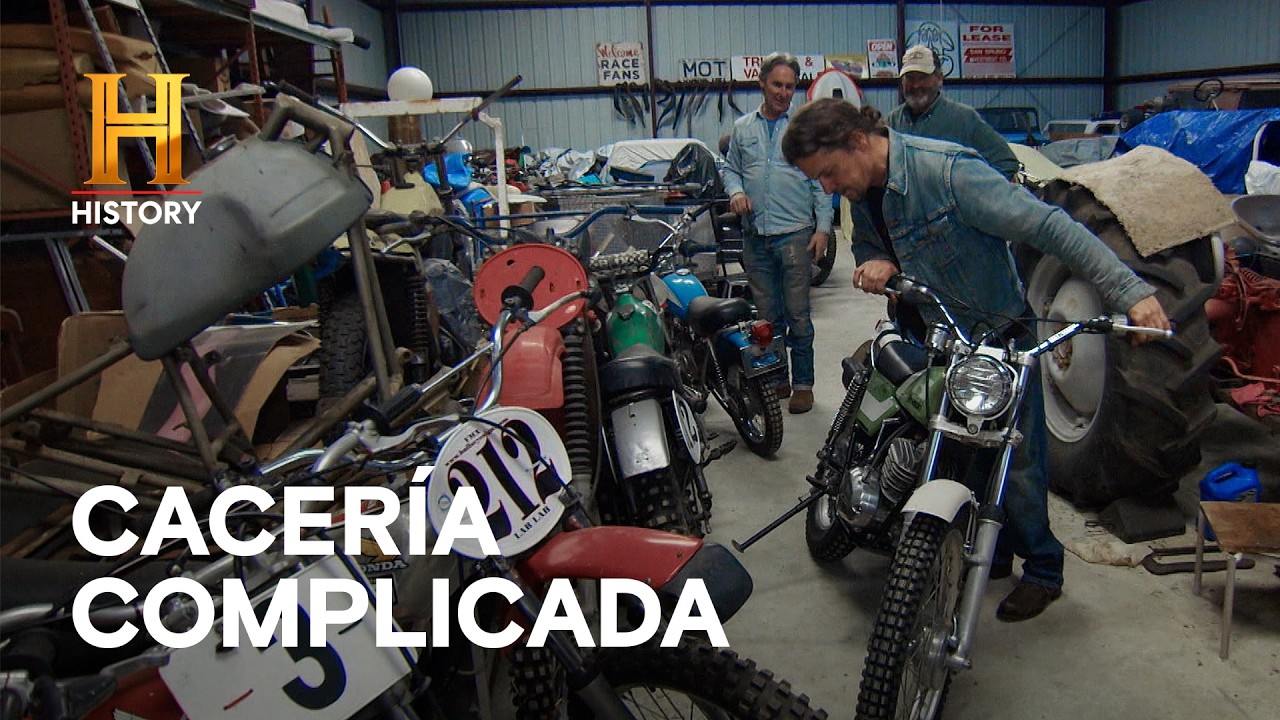 El Dilema del Coleccionista: ¿VENDER O ACUMULAR? - CAZADORES DE TESOROS