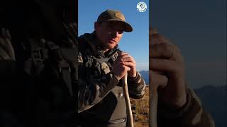 Epic Tahr Hunt: Ridge Stalk in Stunning Mountains! #shorts