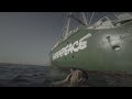 Mashrou' Leila x Greenpeace - Falyakon (#SunUnitesUs rewrite)
