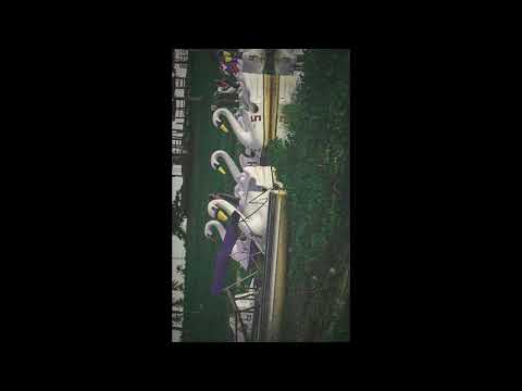 Davzera - Calzone 4Q