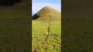 Download lagu ternyata cocok juga lagu ini buat keindahan alam #shorts #fyp #liriklagu #musikgram #music mp3 Download lagu ternyata cocok juga lagu ini buat keindahan alam #shorts #fyp #liriklagu #musikgram #music mp3