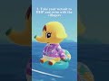 SIX things you don’t know about animal crossing STILL | ACNH