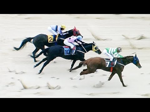 8/1-금요-부산-손석범-(금)승부54.8배+45.0배/메인13.2배[가야할마필]휴장전/부경도/좋았습니다..!!